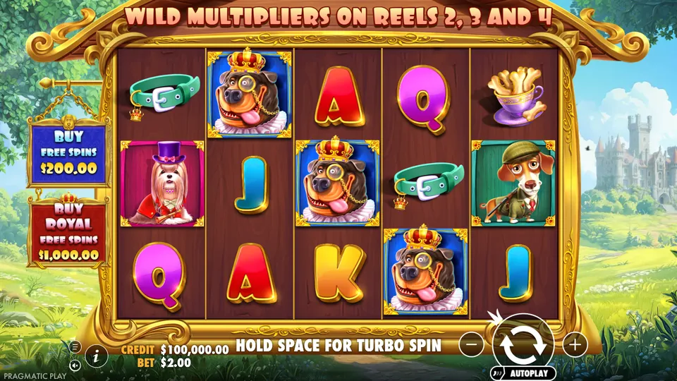 The Dog House Royal Hunt Review and Bonus Guide